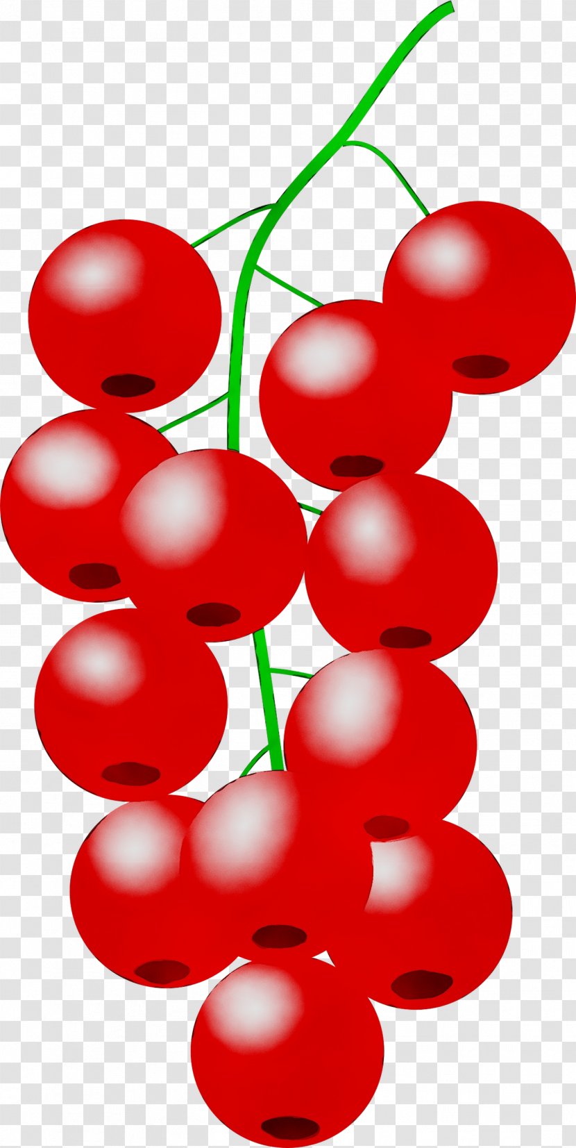 Clip Art Lingonberry Cherries Fruit Grape - Food Transparent PNG