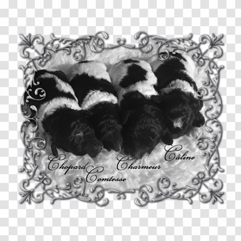 Dog Breed Puppy Litter - Black And White Transparent PNG