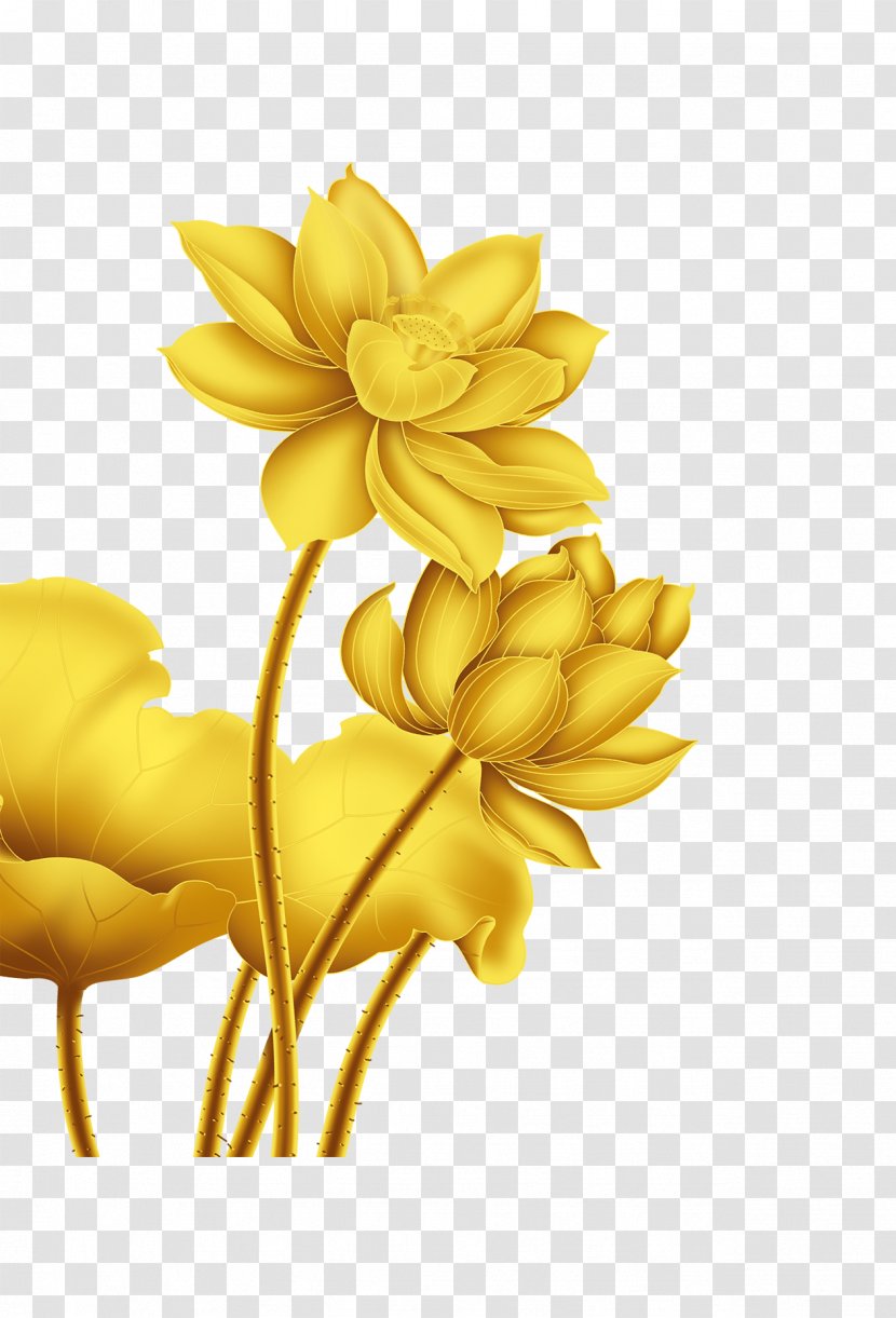 Gold Flower Nelumbo Nucifera - Data Compression - Beautifully Decorated Golden Lotus Beautiful Transparent PNG