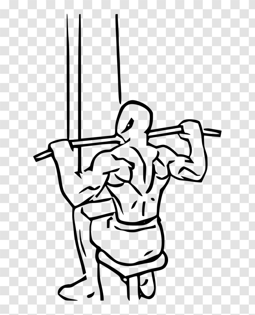 Pulldown Exercise Latissimus Dorsi Muscle Row Biceps - Dumbbell Transparent PNG