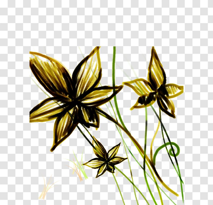 Petal Flower - Plant Stem - Painted Green Flowers Transparent PNG