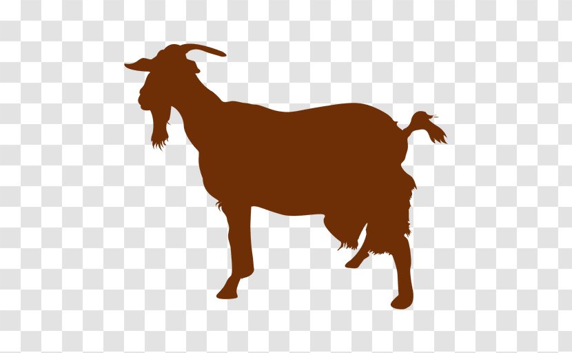 Boer Goat Sheep Feral Silhouette - Horn Transparent PNG