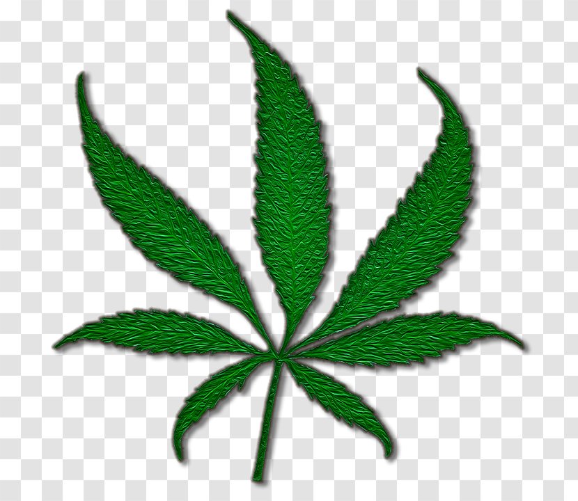 Medical Cannabis Marijuana Joint Sativa - Vaporizer - Pot Plant Transparent PNG