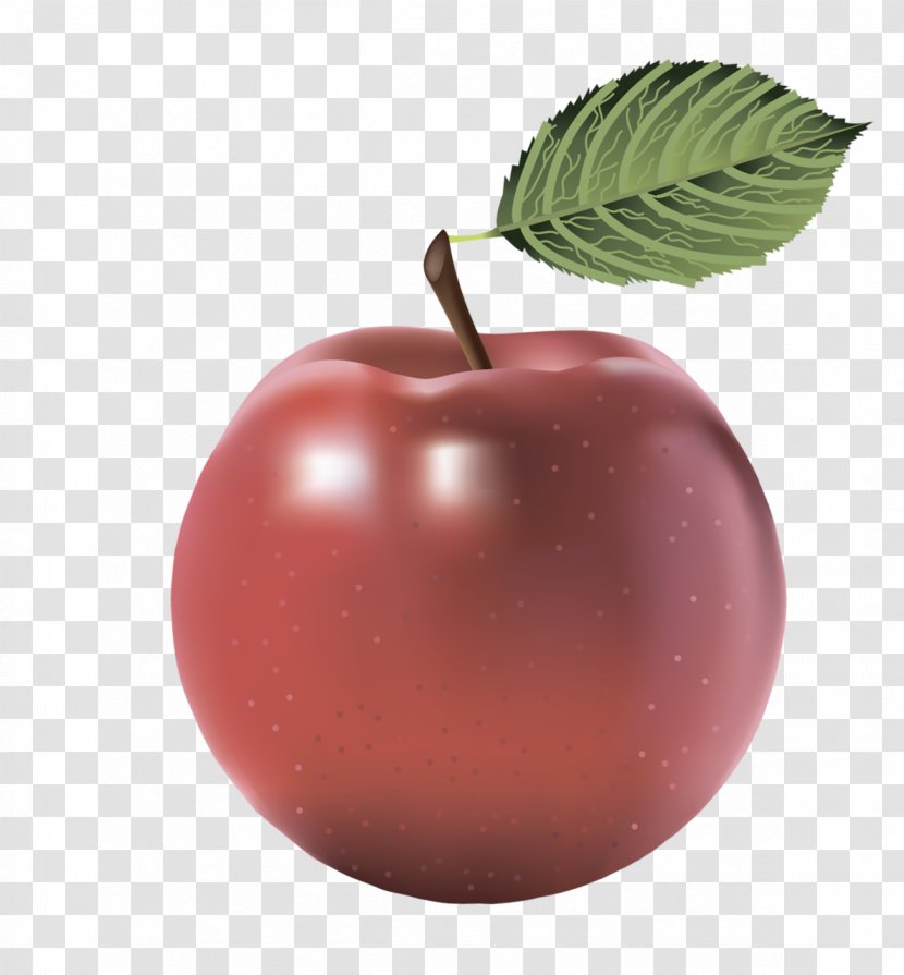 Apple Fruit Clip Art - Stock Photography - Picture Transparent PNG