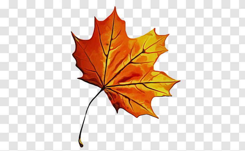 Maple Leaf - Orange Transparent PNG