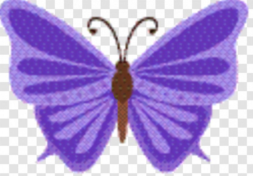Butterfly - Insect - Brushfooted Lycaenid Transparent PNG