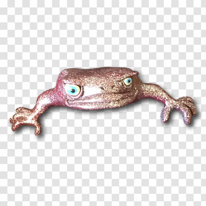 Frog Reptile Transparent PNG