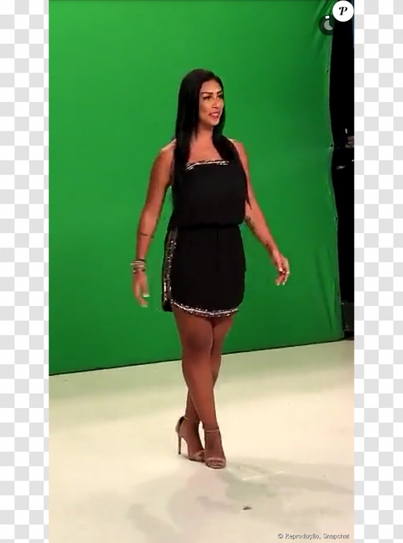 Big Brother Brasil 16 15 Multishow Reality Television News - Flower - Frame Transparent PNG