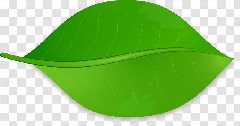 Leaf Shape Drawing Clip Art - Headgear Transparent PNG