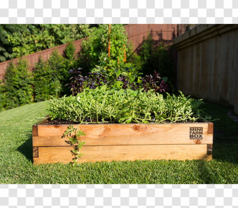 Raised-bed Gardening Container Garden Organic Horticulture Yard - Lawn - Wood Transparent PNG