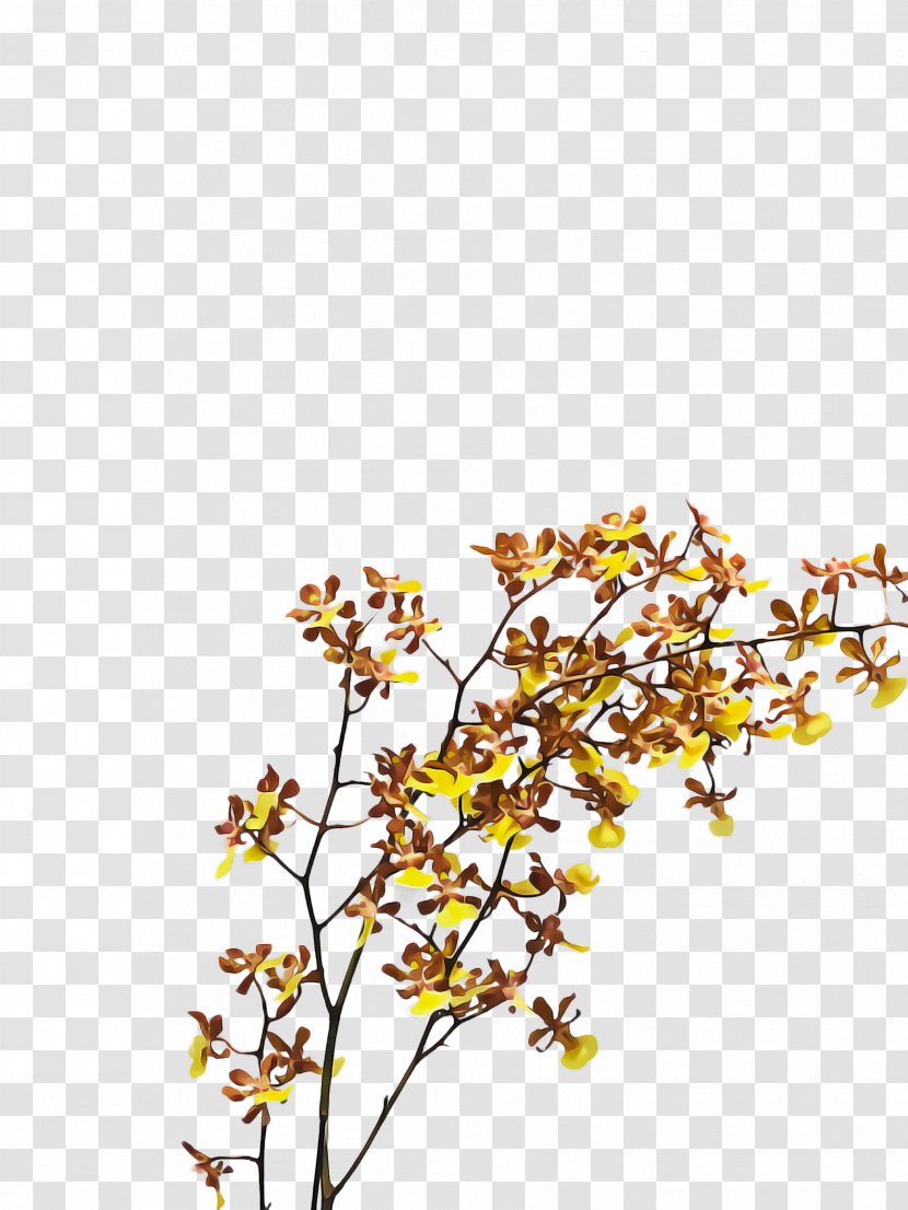 Branch Yellow Plant Flower Twig - Wildflower Tree Transparent PNG