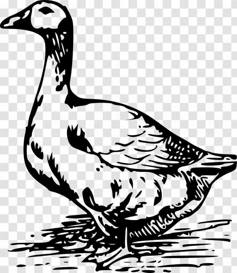 Goose Black And White Drawing Clip Art - Monochrome Photography - Duck Transparent PNG