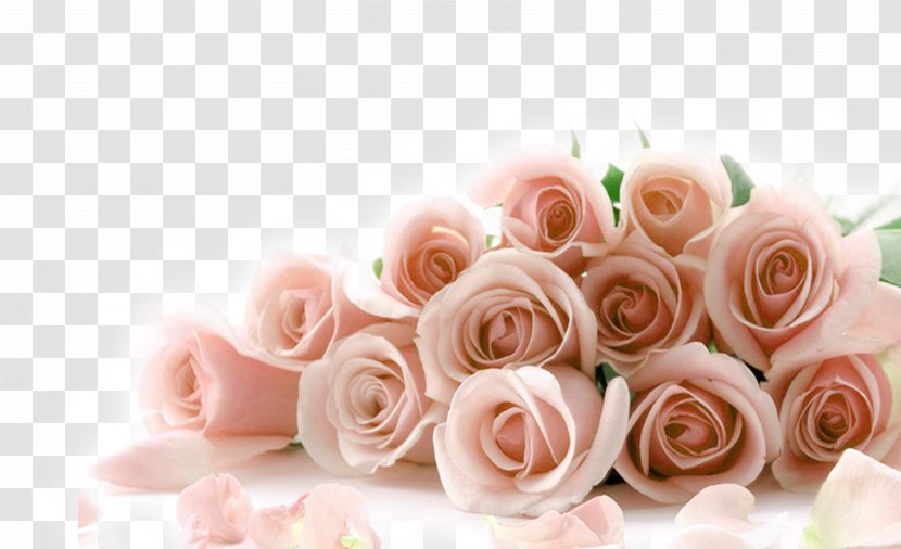 Rose Flower Bouquet Valentines Day Pink - Arranging - And Fresh Decorative Pattern Transparent PNG