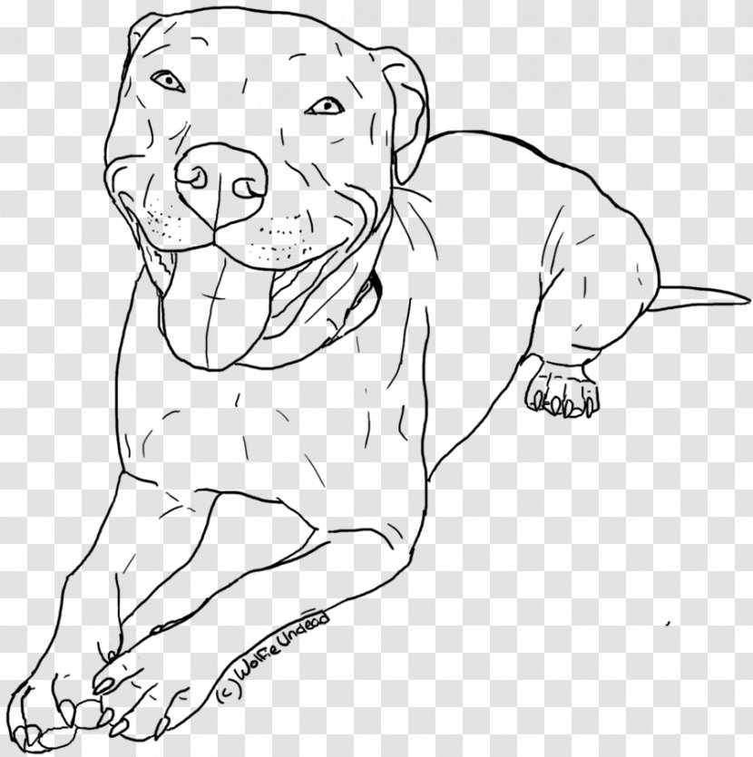 American Pit Bull Terrier Puppy Drawing Coloring Book - Tree Transparent PNG