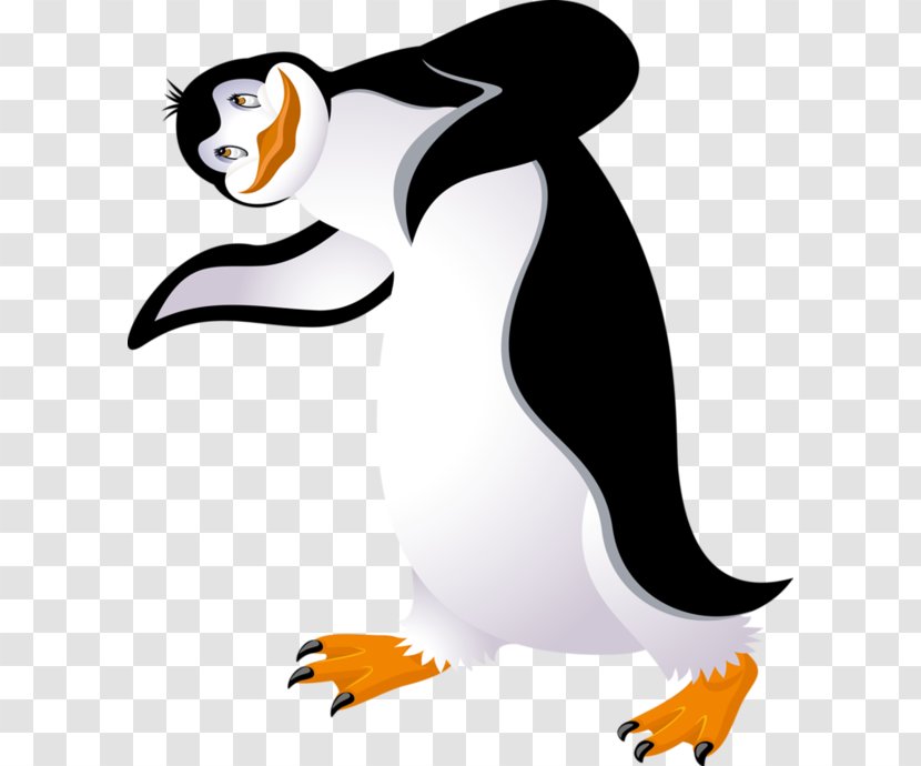 Clip Art Baby Penguin Bird King Transparent PNG