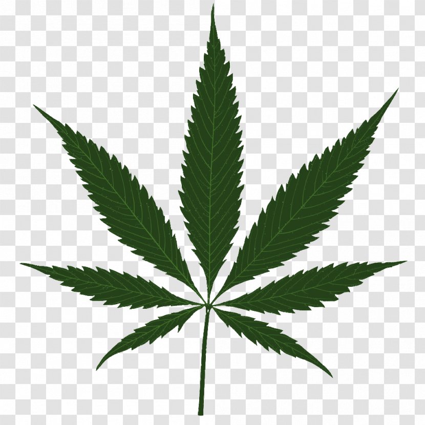Cannabis Sativa Clip Art Marijuana Leaf - Cannabinoid Transparent PNG