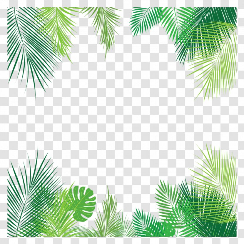 Clip Art Vector Graphics Leaf Palm Trees - Vegetation - Leaves Transparent PNG