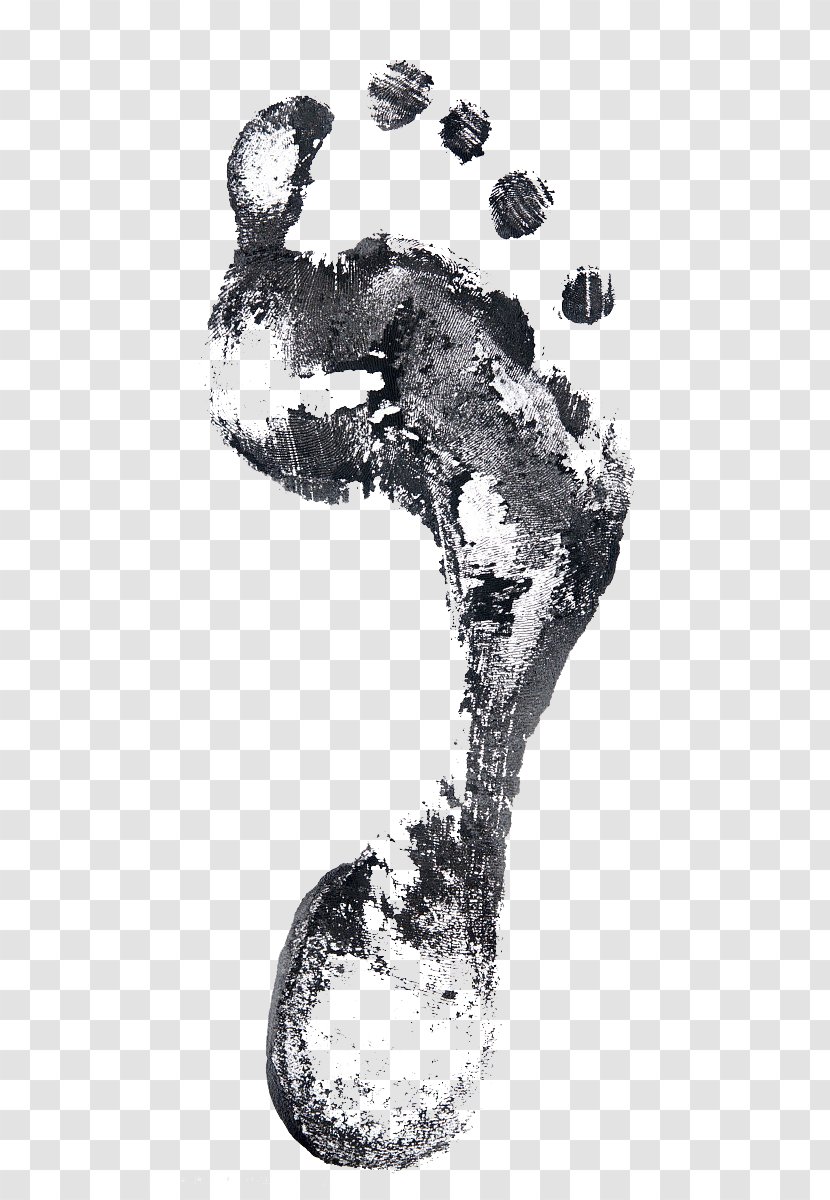 Footprint Stock Photography Illustration - Royaltyfree - Ink Footprints Transparent PNG