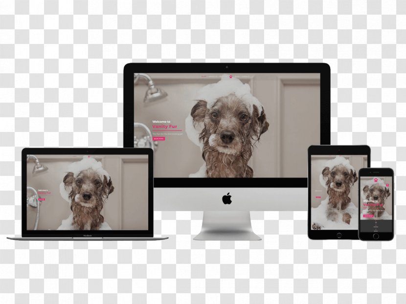 Installment Loan Dog Breed Design Website - Multimedia - Grooming Pet Transparent PNG