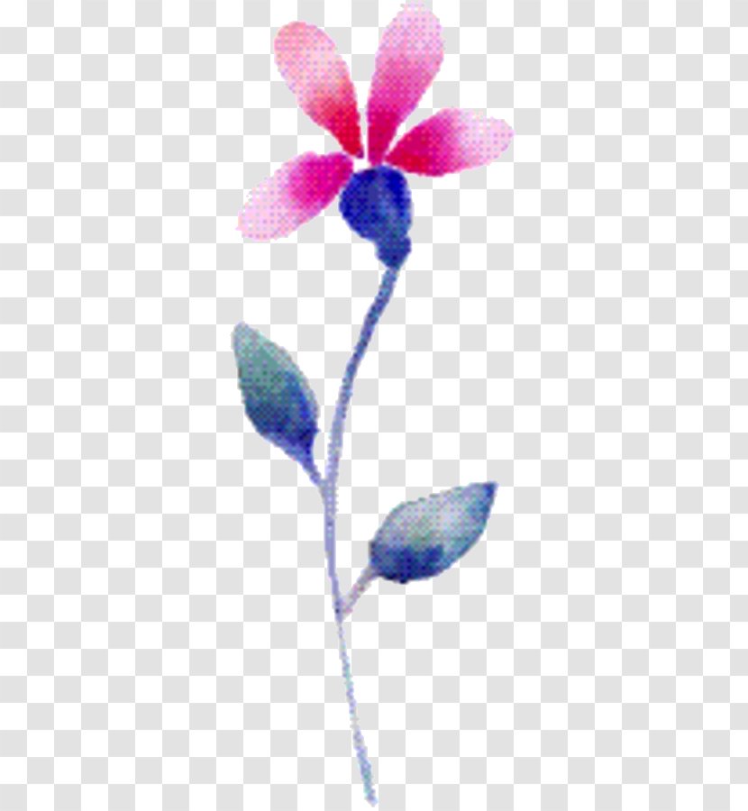 Blue Iris Flower - Family - Feather Delphinium Transparent PNG