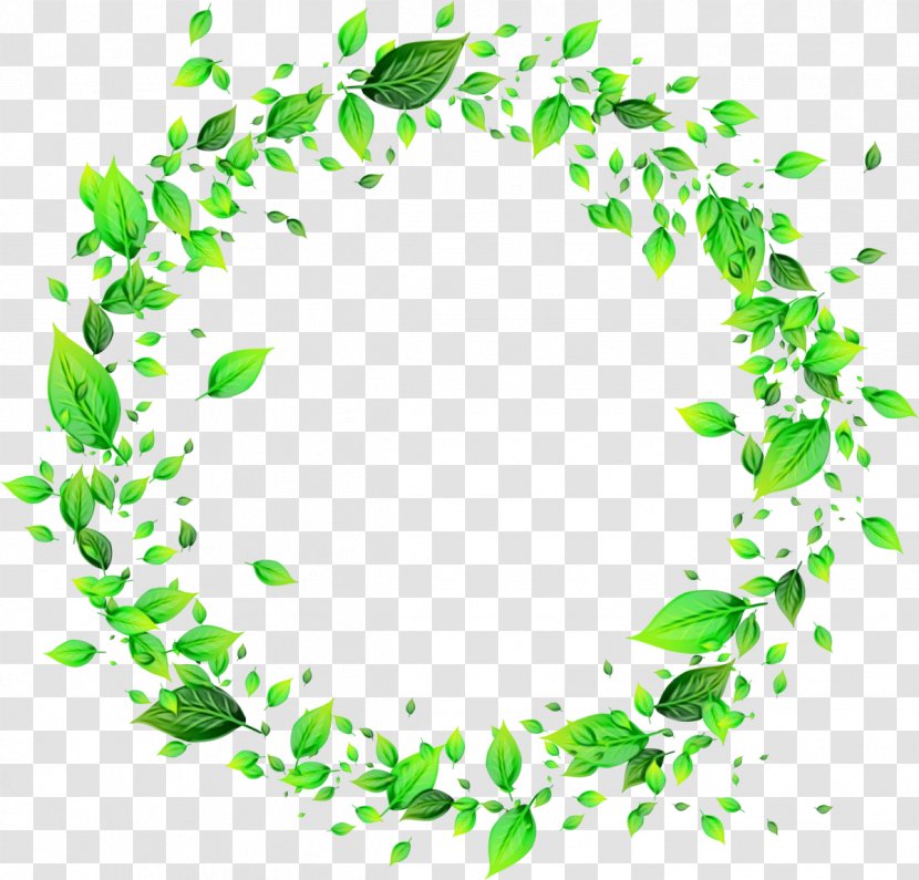 Green Leaf Background - Picture Frames - Plant Transparent PNG