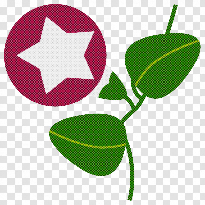 Rose Transparent PNG