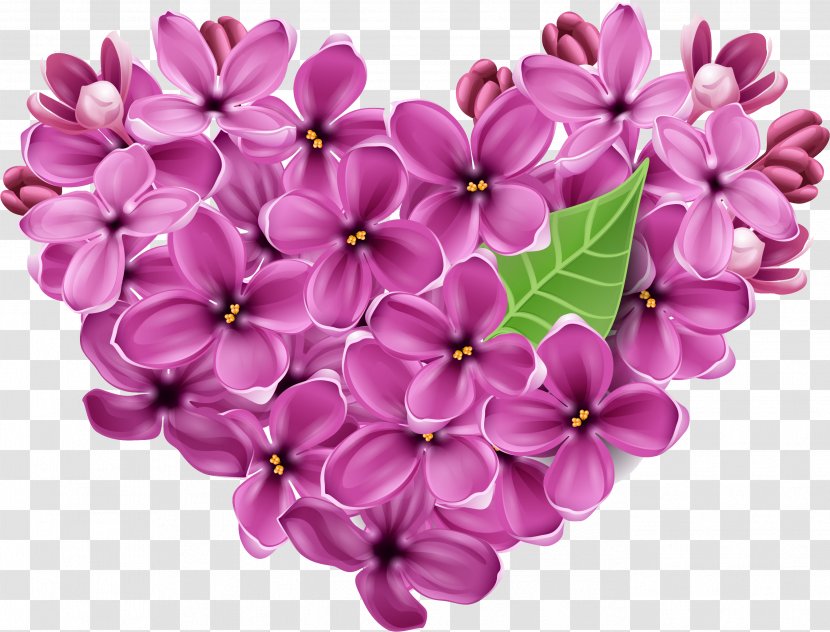 Lilac Flower Violet Heart Floral Design - Cut Flowers Transparent PNG
