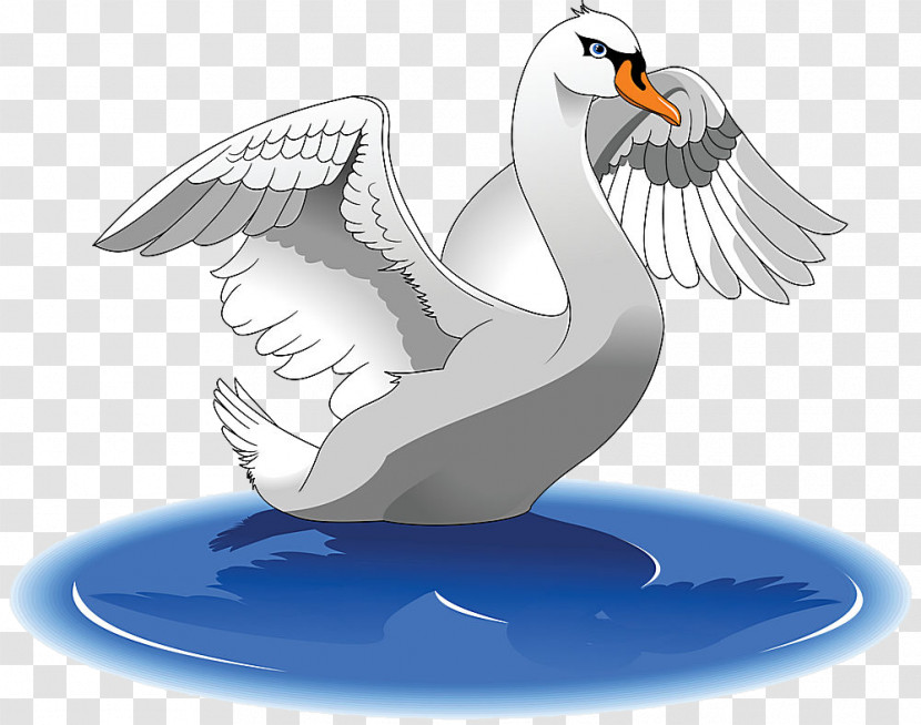 Bird Wing Beak Swan Seabird Transparent PNG