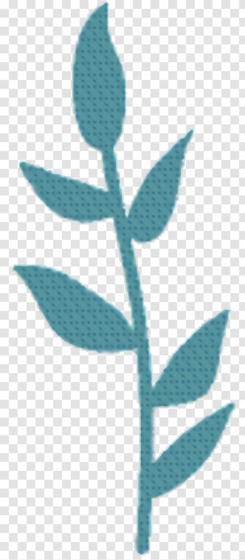 Leaf Line - Flower - Pedicel Transparent PNG