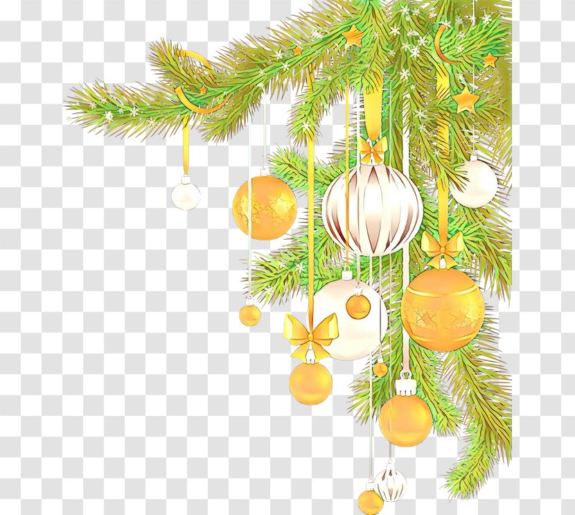Christmas Tree - Spruce - Plant Transparent PNG