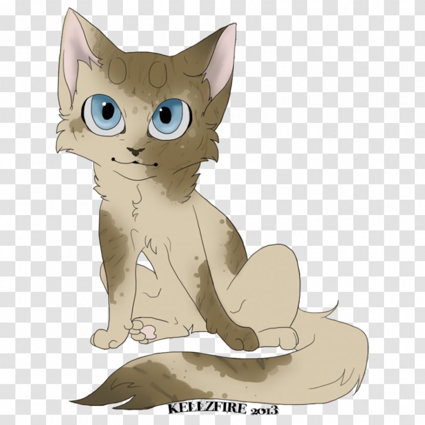Whiskers Kitten Domestic Short-haired Cat Dog - Like Mammal Transparent PNG