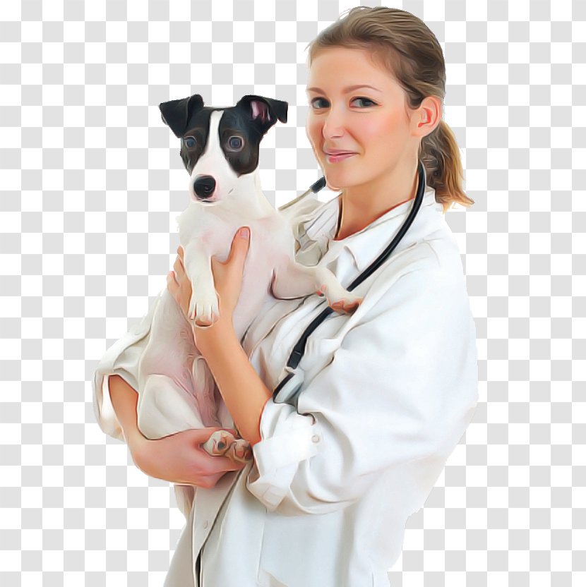 Stethoscope - Tenterfield Terrier - Italian Greyhound Transparent PNG