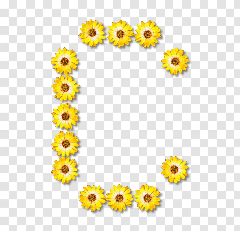 Alphabet Common Sunflower Letter - Yellow - Floral Transparent PNG