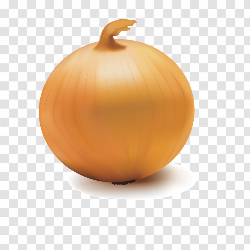 Pumpkin Calabaza Onion Vegetable - Transparency And Translucency - Delicious Transparent PNG