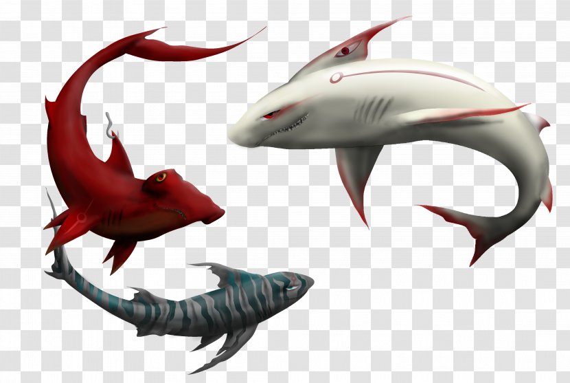 Shark Fauna Dolphin Transparent PNG