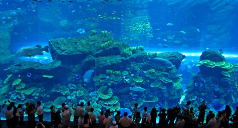 The Dubai Mall Burj Khalifa Marina Of Emirates Aquarium & Underwater Zoo - Retail Transparent PNG