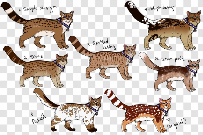 Kitten Domestic Short-haired Cat Whiskers Wildcat - Small To Medium Sized Cats - Help The Fallen Granny Transparent PNG