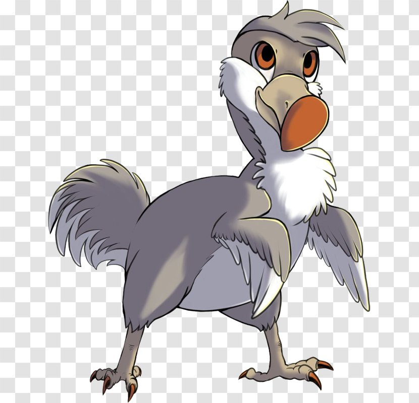 Rooster Beak Bird Vulture - Of Prey Transparent PNG