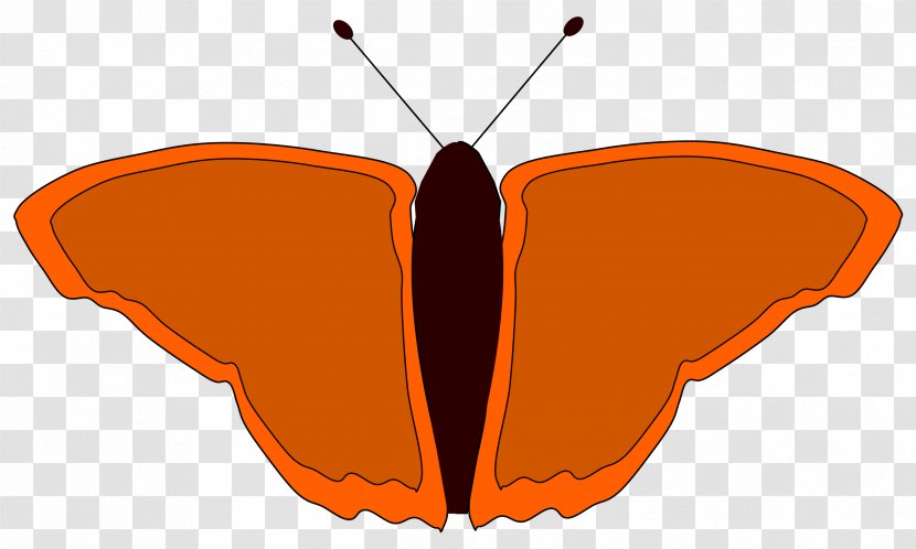 Butterfly Drawing Clip Art - Symmetry - Red Transparent PNG