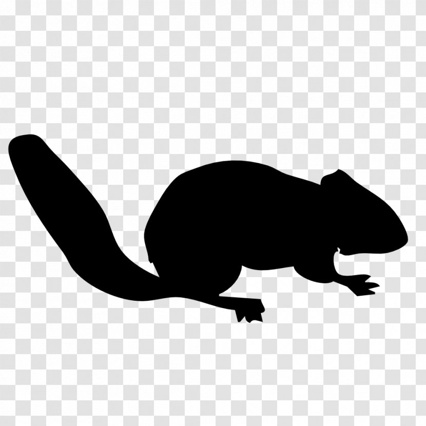 Chipmunk Squirrel Animal Silhouettes Rodent Clip Art - Carnivoran Transparent PNG