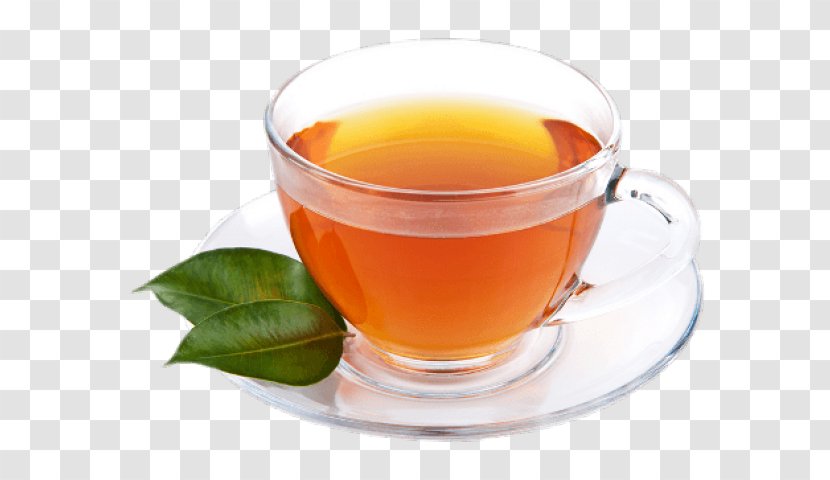 Winter Cartoon - Transparent Tea - Liquid Herb Transparent PNG