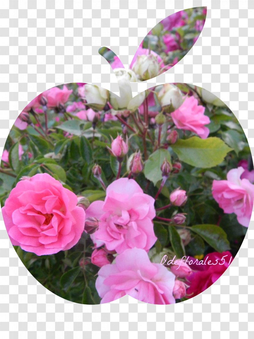 Floral Design Flower Garden Roses - Spatial Planning Transparent PNG