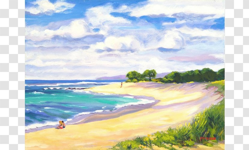 Hawaii Shore Coast Painting Ocean - Beaches Transparent PNG