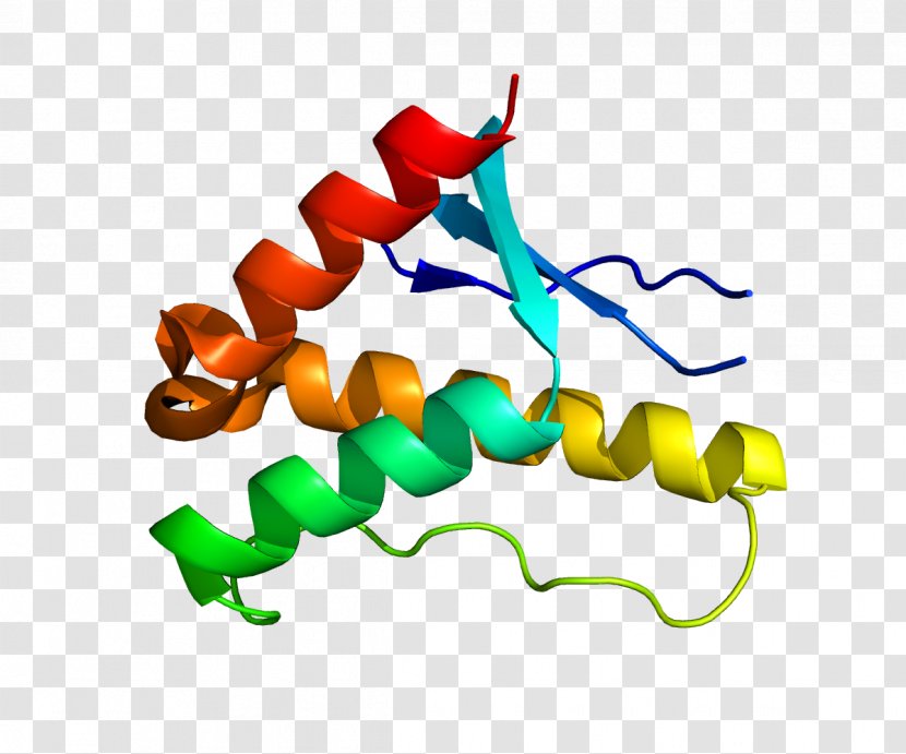 SNX17 Low-density Lipoprotein Receptor Gene Family Sorting Nexin LDL - Silhouette - Watercolor Transparent PNG