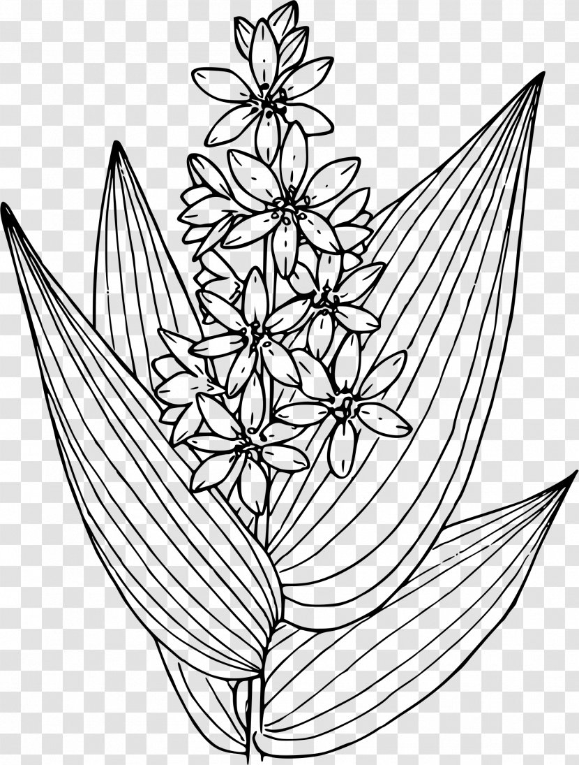 Drawing Line Art Visual Arts - False Transparent PNG