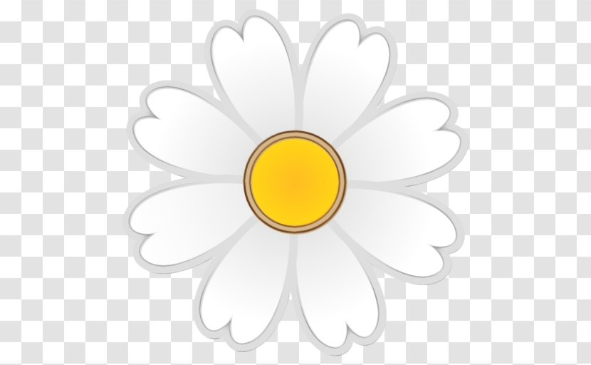 Daisy - White - Sky Camomile Transparent PNG