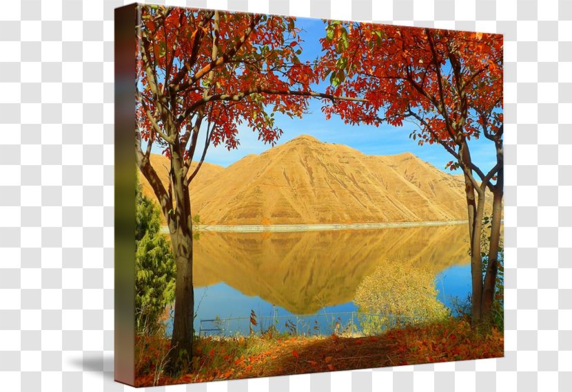 Gallery Wrap Painting Ecosystem Canvas Art - Nature Transparent PNG