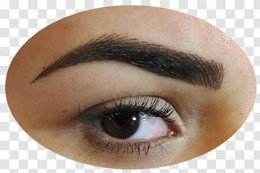 Permanent Makeup Eye Shadow Eyelash Extensions Liner Eyebrow - Artificial Hair Integrations Transparent PNG