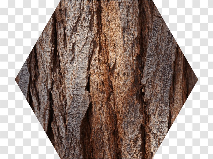 Stock Photography Royalty-free Tree - Wood Base Transparent PNG