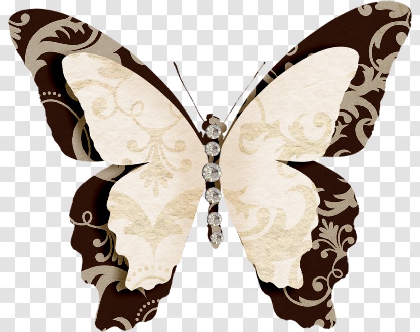 Photography Clip Art - Moths And Butterflies - Insect Transparent PNG